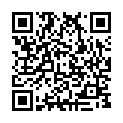 To view this 2009 Chrysler Town  and  Country Omaha NE from Car2Day Bad Credit Car Loan Specialists Omaha NE Lincoln NE Council Bluffs NE, please scan this QR code with your smartphone or tablet to view the mobile version of this page.