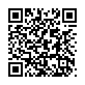 To view this 2008 Ford Taurus Omaha NE from Car2Day Bad Credit Car Loan Specialists Omaha NE Lincoln NE Council Bluffs NE, please scan this QR code with your smartphone or tablet to view the mobile version of this page.
